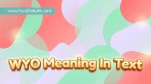 wyo meaning in text