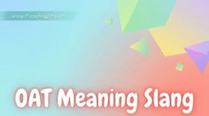 oat meaning slang