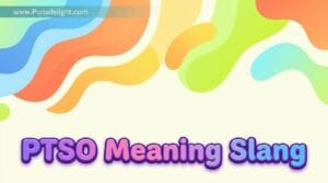 PTSO Meaning Slang