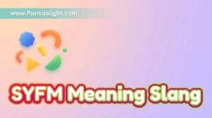 syfm meaning slang
