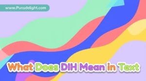 what does dih mean in text