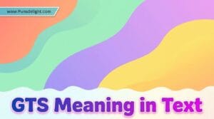 GTS Meaning in Text