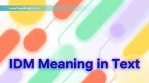 IDM Meaning in Text
